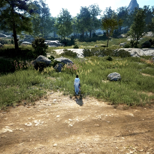 scs_1_25110810171247655_thumb