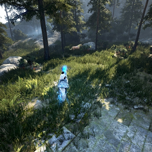 scs_1_25110907441482643_thumb