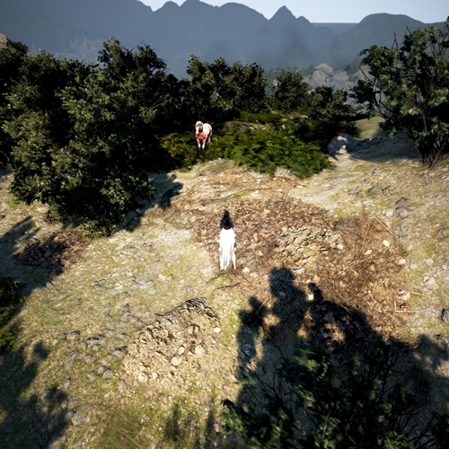 scs_1_25110907510901037_thumb