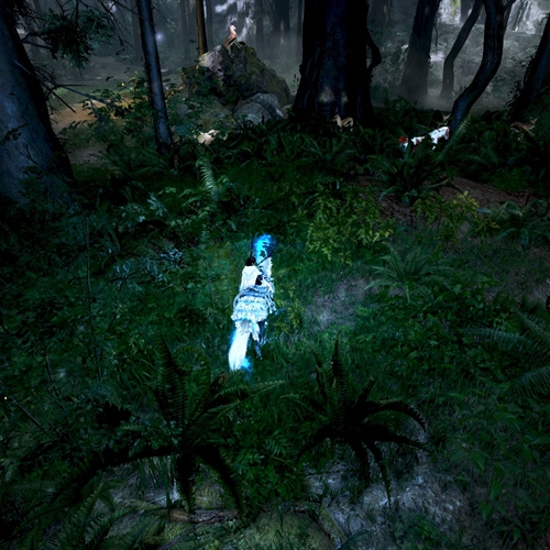 scs_1_25110908525499283_thumb