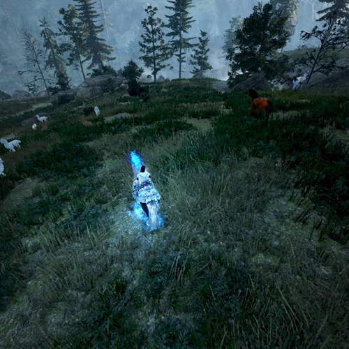 scs_1_25110909040592647_thumb