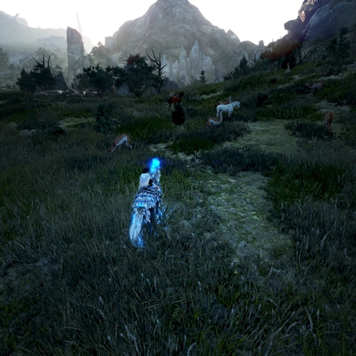 scs_1_25110909073912275_thumb