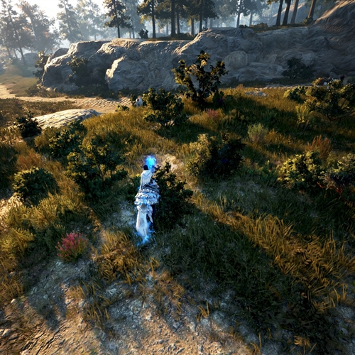 scs_1_25110909125933690_thumb