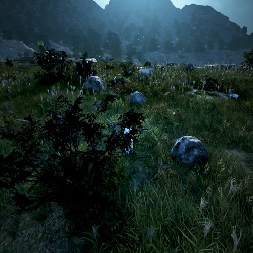 scs_2_25110908474696164_thumb