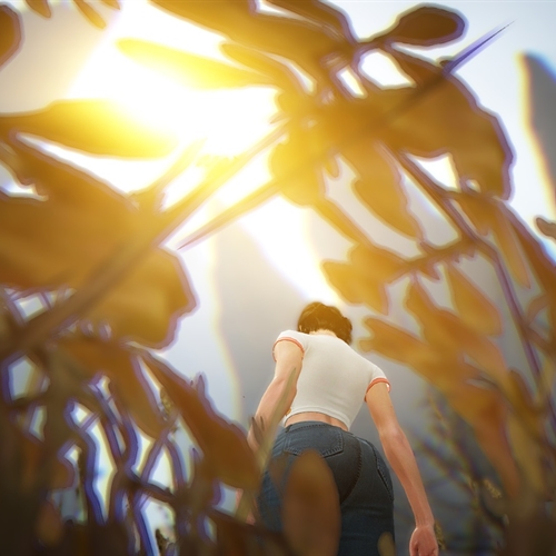 scs_2_25121110533084742_thumb