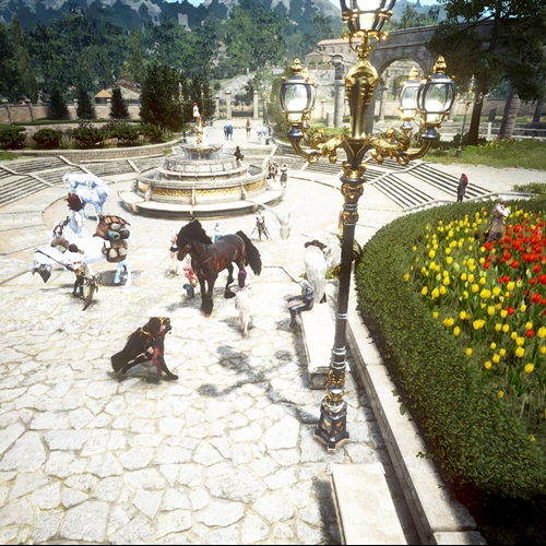 scs_1_25121303010915994_thumb