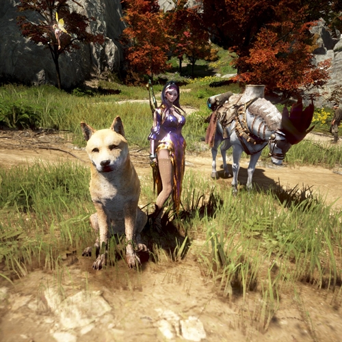 scs_3_25041803302361072_thumb