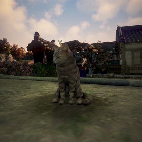 scs_2_25040812141435740_thumb