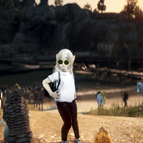 scs_1_2505030409145241_thumb