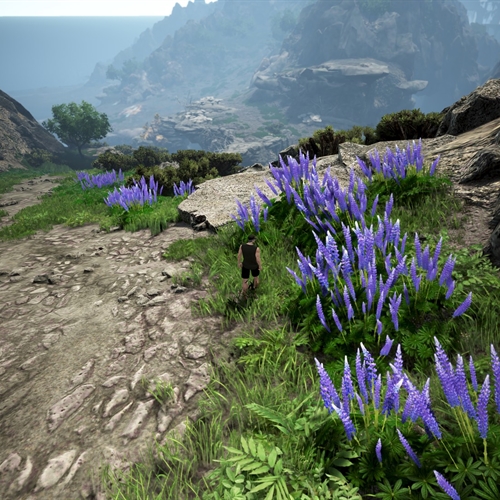 scs_1_25082110431262273_thumb