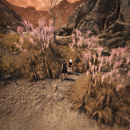 scs_1_25082110482699383_thumb