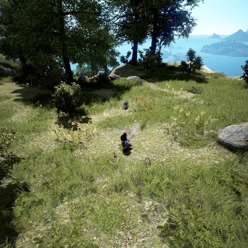 scs_1_25082402425376455_thumb