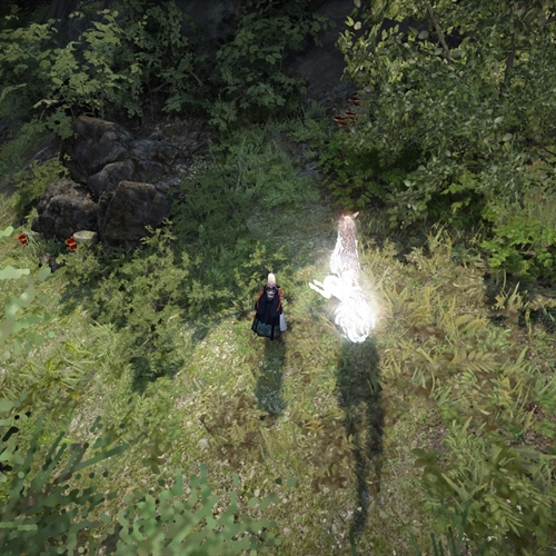 scs_1_25082503364191994_thumb