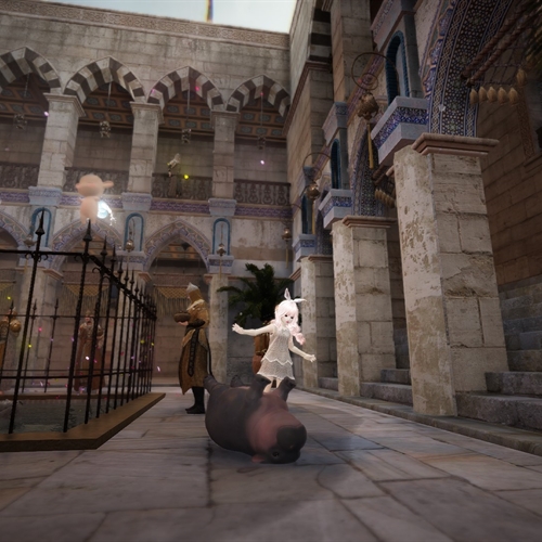 scs_3_25082711365579098_thumb