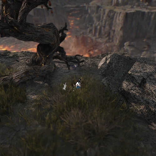 scs_1_25091111530401557_thumb