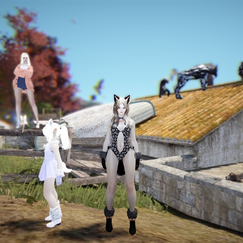 scs_1_26101411025315358_thumb