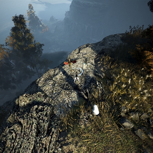 scs_1_2611010119498384_thumb
