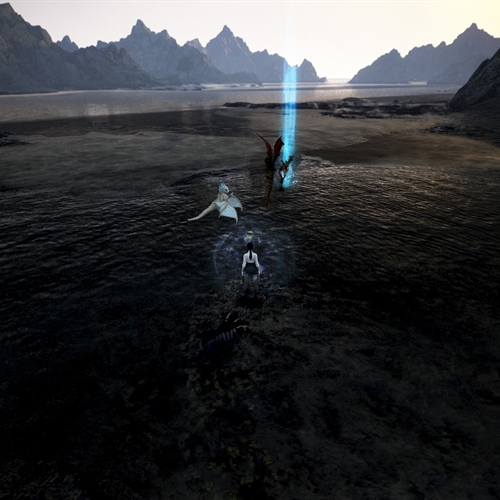 scs_1_26110112325353374_thumb