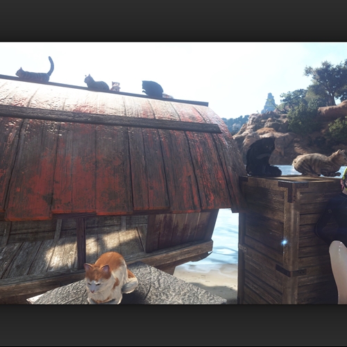 scs_3_26021806023498420_thumb