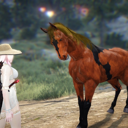 scs_2_26020801550191769_thumb