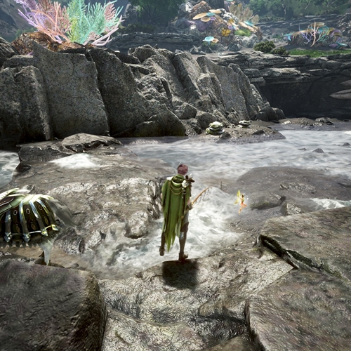 scs_2_26031003172969376_thumb