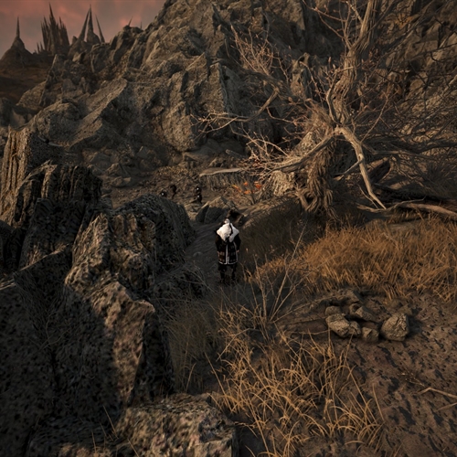 scs_1_26031101290430150_thumb