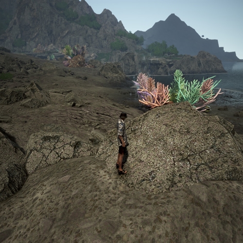scs_1_26031102195299027_thumb