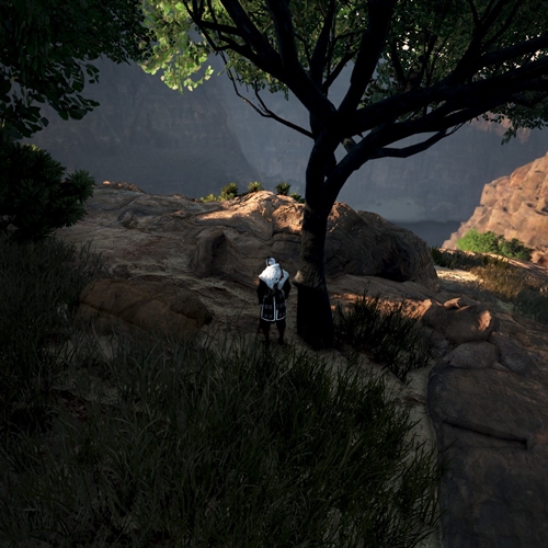 scs_1_26031112071262855_thumb