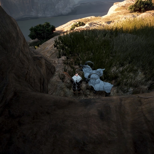 scs_1_26031112091887219_thumb