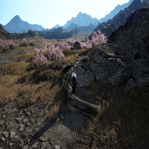 scs_1_26031112383571176_thumb