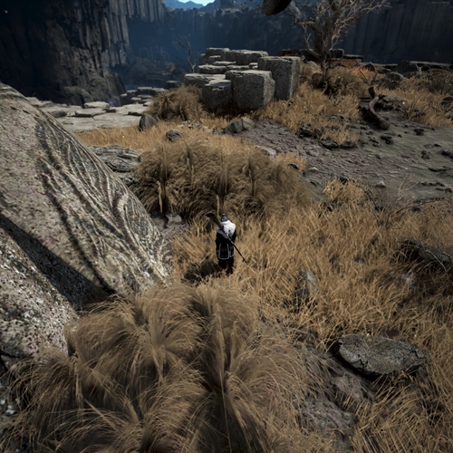 scs_1_26031112441912977_thumb