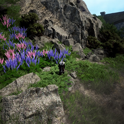 scs_1_26031112472312688_thumb