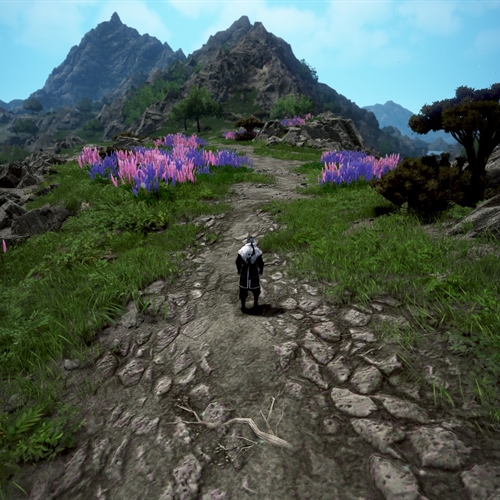 scs_1_26031112500364226_thumb