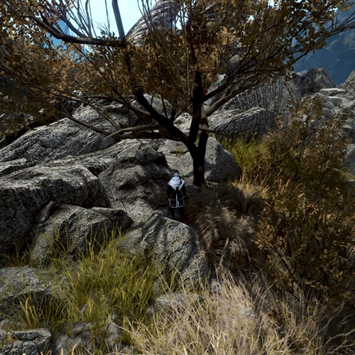 scs_1_26031112524873297_thumb