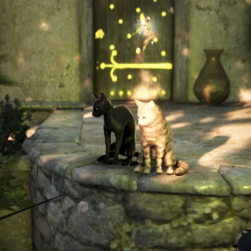 scs_2_26032112120159954_thumb