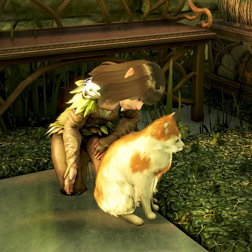 scs_3_26032111490051499_thumb