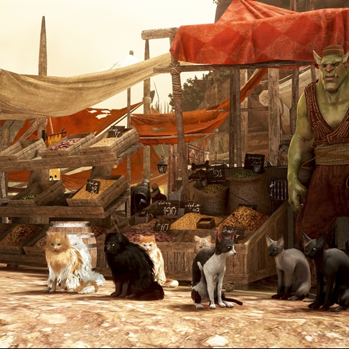 scs_1_26030909122357793_thumb