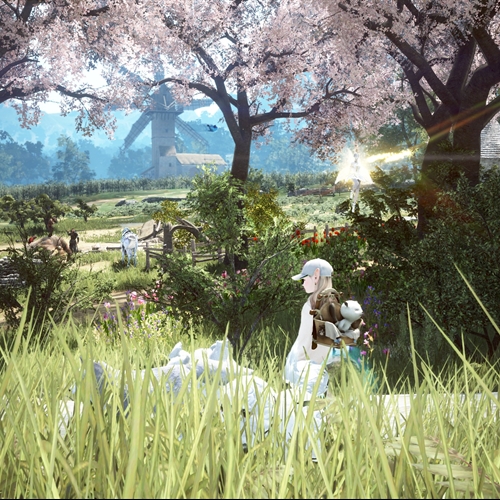 scs_1_26041102453709048_thumb