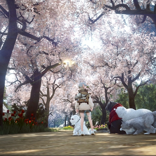 scs_1_2604110247304086_thumb