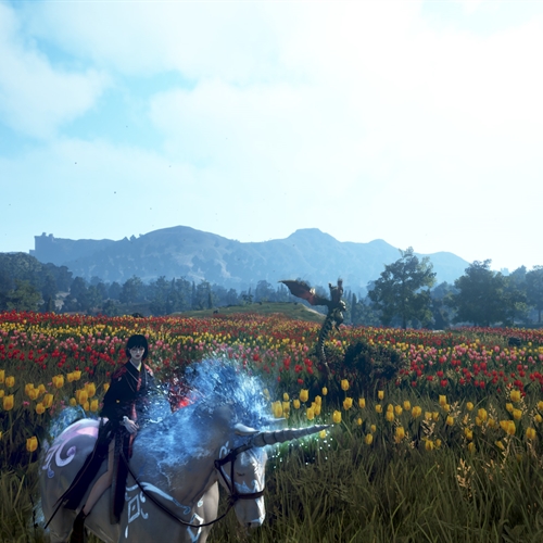 scs_1_26041409535069375_thumb