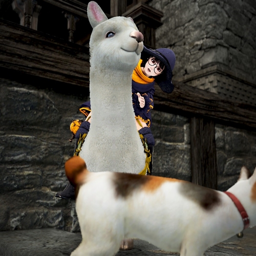 scs_3_26041504225451289_thumb