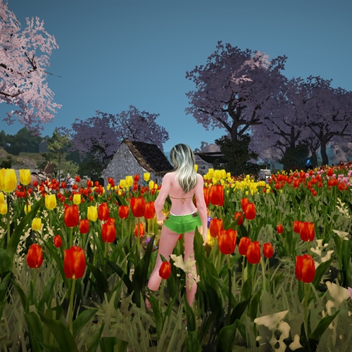 scs_5_2604281114216569_thumb