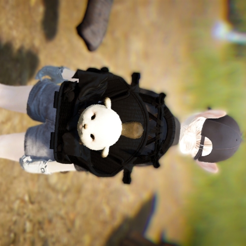 scs_6_26051006172645376_thumb
