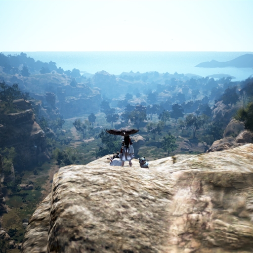 scs_6_26050902081733776_thumb