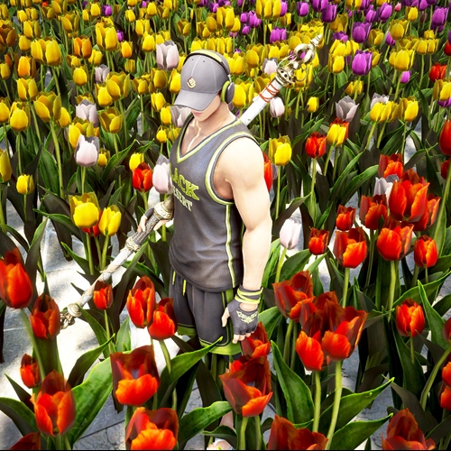 scs_3_26072503554653143_thumb