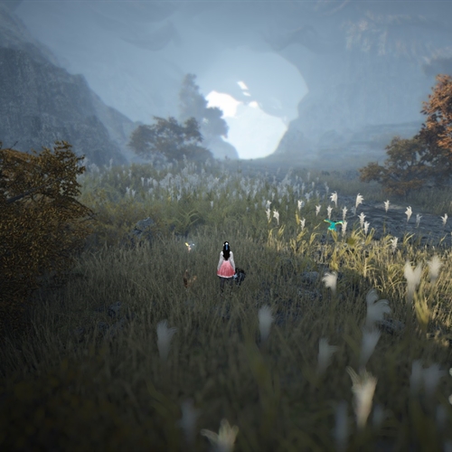 scs_1_26081205250411113_thumb