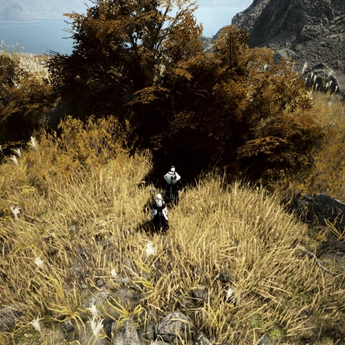 scs_1_26081210391937188_thumb
