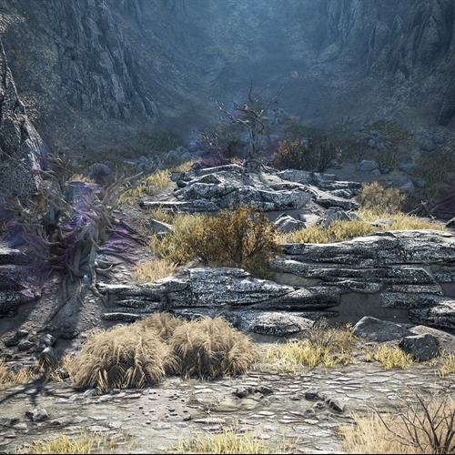 scs_1_26081301095128622_thumb
