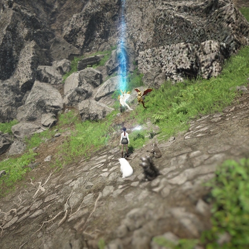scs_1_26081302505483746_thumb