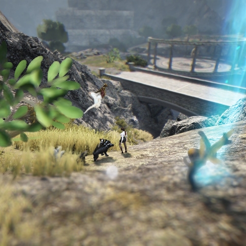 scs_1_26081303394460747_thumb